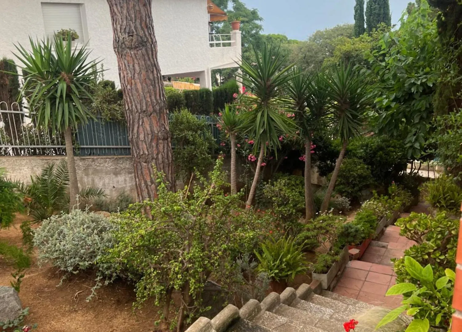 Venus Apartment Arenys De Mar 0*,  Spain